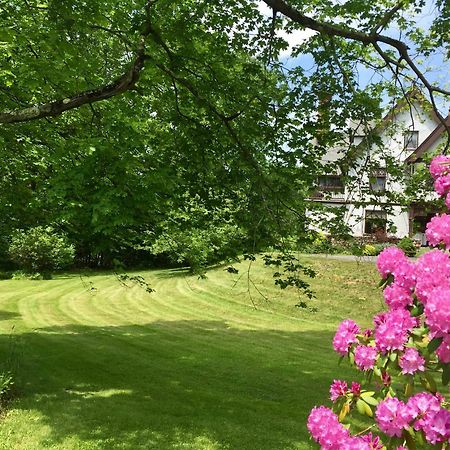 Manor House Bed & Breakfast Norfolk Esterno foto